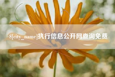 汕尾执行信息公开网查询免费
