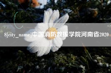 汕尾中国消防救援学院河南省2020